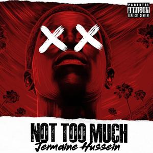 Not Too Much (Explicit)
