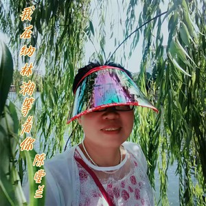 我在纳林湖等着你