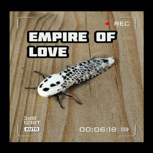 Empire Of Love