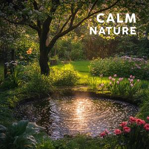 Embrace the Calm Nature