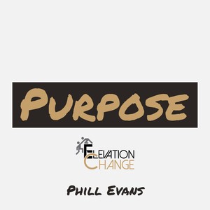 Purpose(Elevation Change)