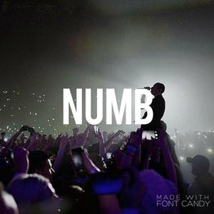Linkin Park-Numb (张宗男 remix)