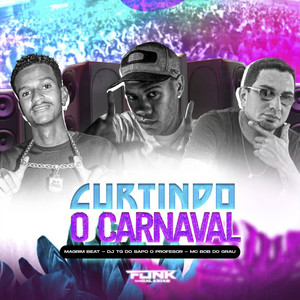 Curtindo o Carnaval (Explicit)