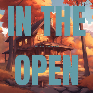 in the open (feat. Frede Lain)