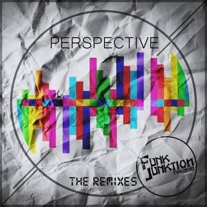 Funk Junktion Rekords: Perspective - The Remixes