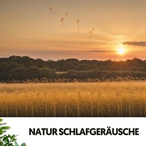 Sons de la Nature: Vibrations de la Terre Mère