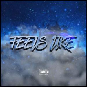 Feels Like (feat. RAPH) (Explicit)