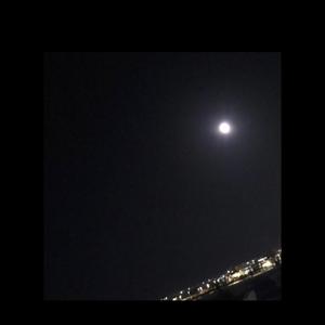 spread your wings (Explicit)