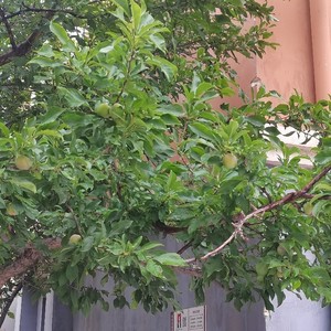 你是我一生等定的人