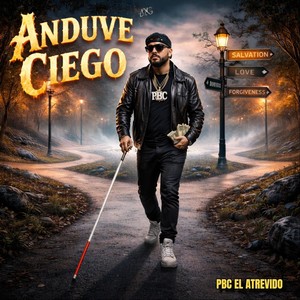 Anduve Ciego