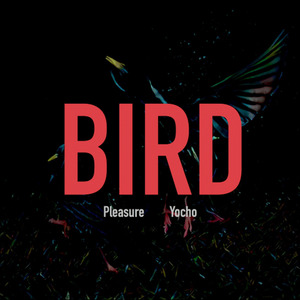 BIRD (Tones Rap Remix)