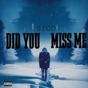 Did You Miss Me (Explicit)