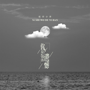 你是我的遗憾-旺仔小乔