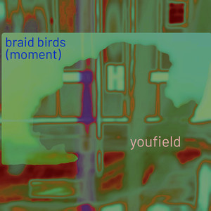 Braid Birds (Moment)