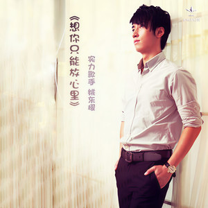 想你只能放心里