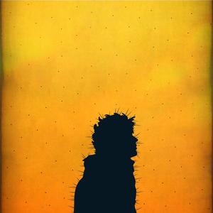 Cactus (Versión Acústica)