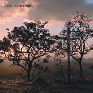 Árbol de la Cruz (Acústico 2020)