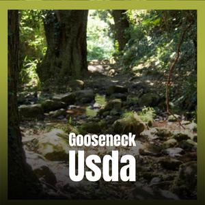 Gooseneck Usda