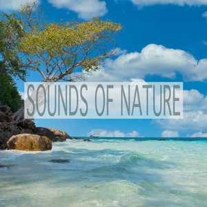 Relaxing Ocean Sounds