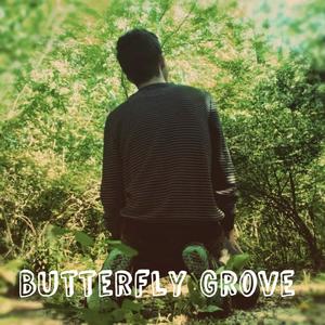 Butterfly Grove