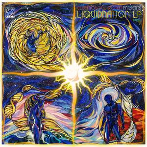 Electrosoul System Presents LiquiDNAtion LP Part 2