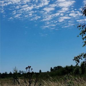 s o l s t i c e (slowed)