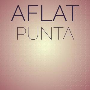 Aflat Punta