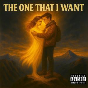 The one i want (Radio Edit|Explicit)