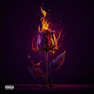 BEEN IN MY BAG HOE (Explicit)