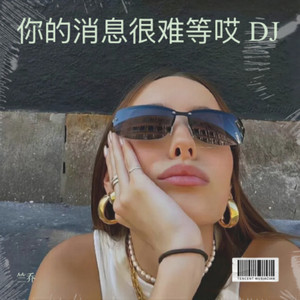 我用执着烧死了所有的幼稚与不成熟 DJ (伴奏)