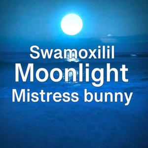 Moonlight (feat. Swamoxilil)