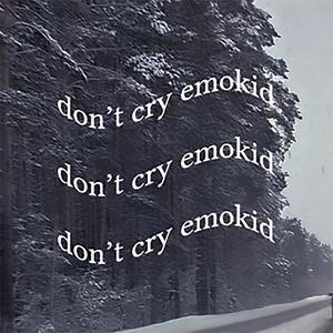 don't cry emokid (Explicit)