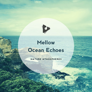 Mellow Ocean Echoes