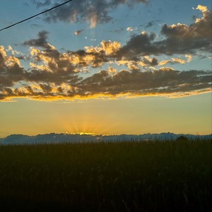 Brick by Brick (feat. Rich Amiri) (Explicit)