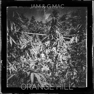 Orange Hill (Explicit)