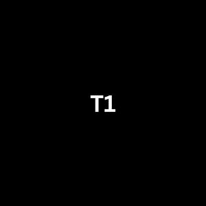 T1