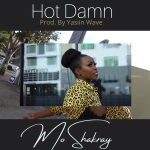 Hot Damn (Explicit)