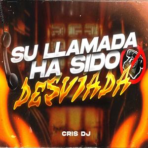 SU LLAMADA HA SIDO DESVIADA