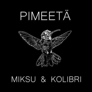 Pimeetä