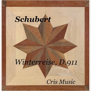 Gerhard Hüsch - Winterreise, D.911 - 15. Die Krahe
