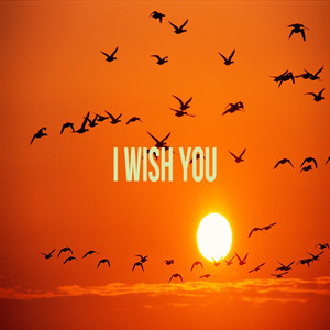 I Wish You
