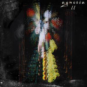 Agnosia II (Explicit)