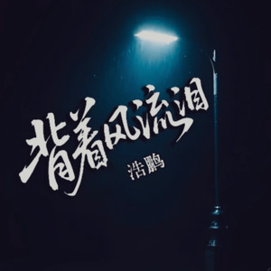 背着风流眼泪 (DJ版)