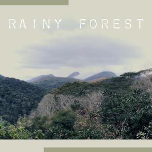 Rainy Forest