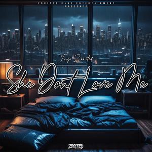 She Dont Love Me (Explicit)