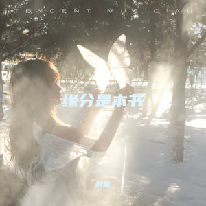 不会在乎时间走多快