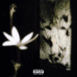 Lies (feat. 2mz) (Explicit)