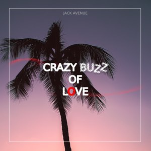 Crazy Buzz of Love (Extended Mix)