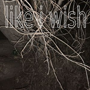 like i wish (Hardstyle Remix)