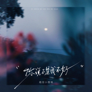 你说不是我不好